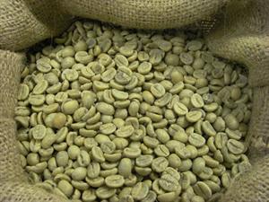Brasilien Santos NY2, Gröna Kaffebönor, 1000 gram
